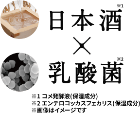 日本盛×乳酸菌