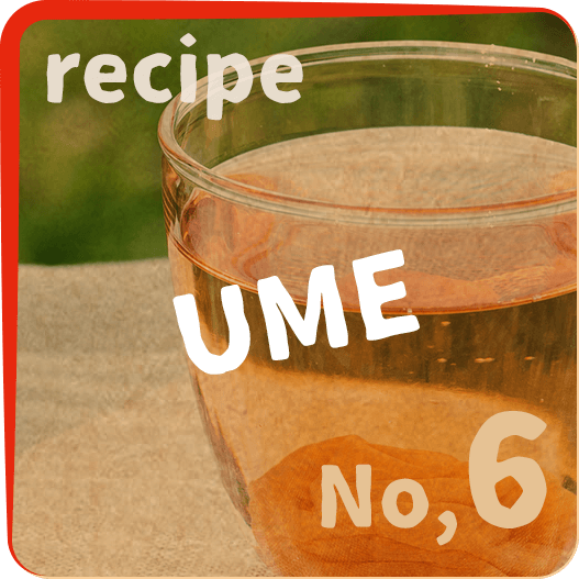 recipe No.6 UME