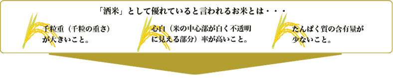 「酒米」として優れていると言われるお米とは・・・