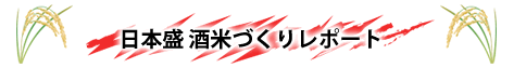 日本盛り酒米づくりプロジェクト